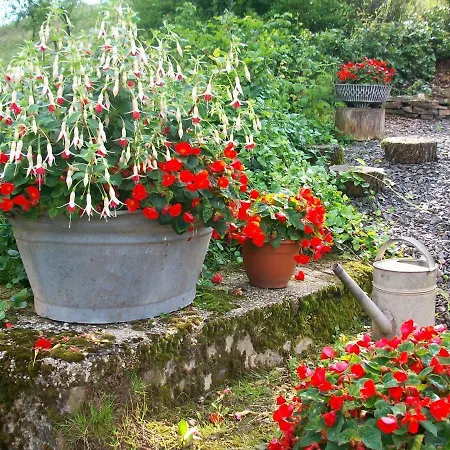 Appartamento Peaceful In Eifel Near Forest *